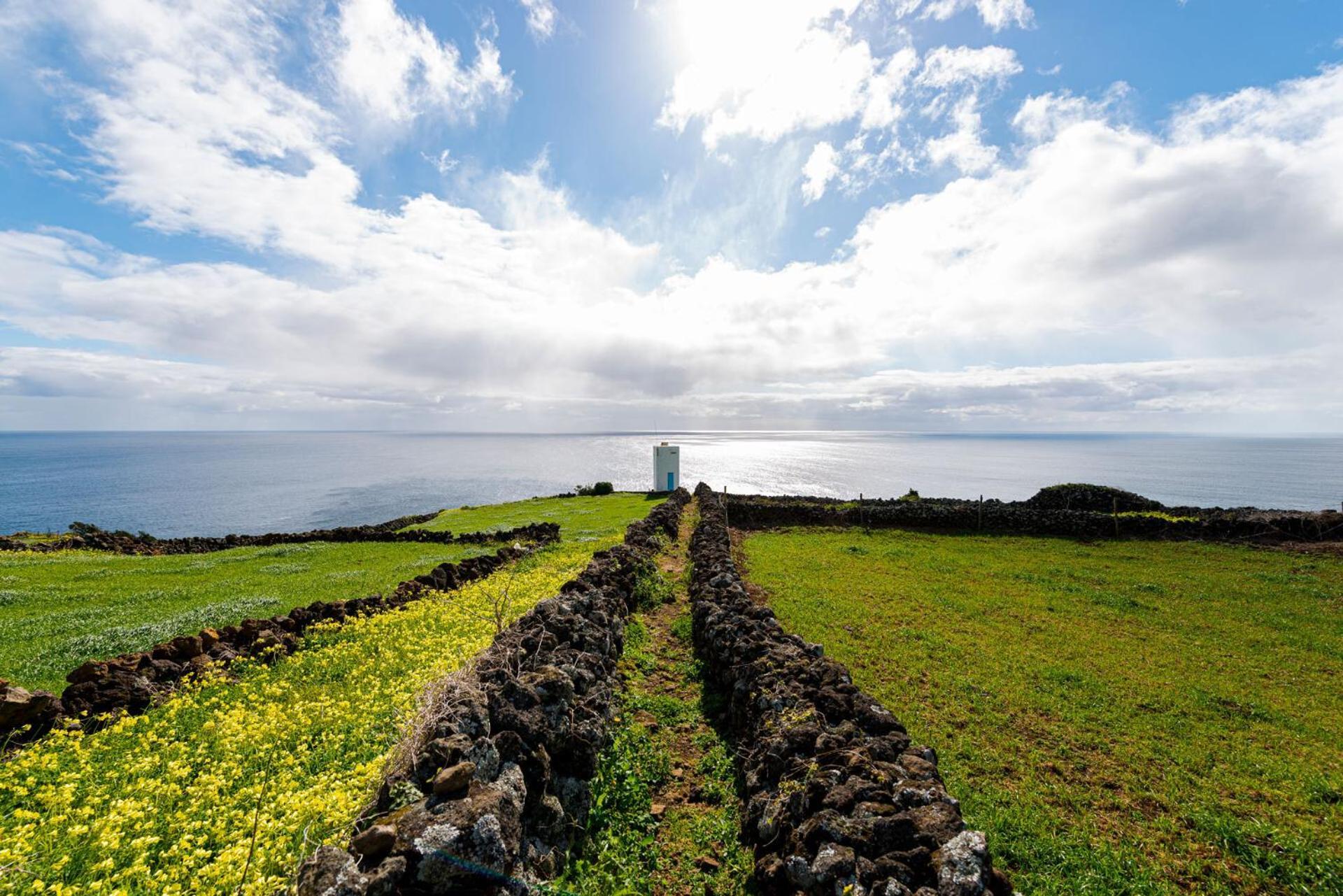 Engenho Hostel Lajes do Pico Exteriör bild